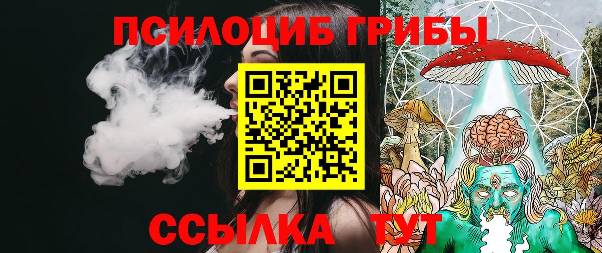 Псилоцибиновые грибы Psilocybe Каспийск